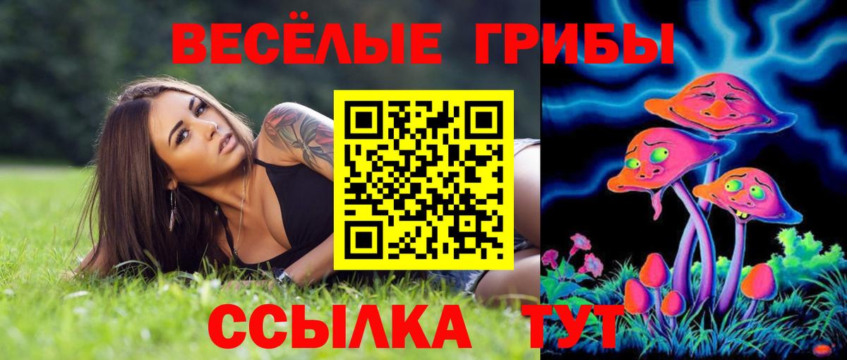 Псилоцибиновые грибы мухоморы Брянск