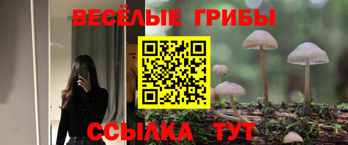 Брянск  Псилоцибиновые грибы прущие грибы  Вход с VPN  Галлюциногенные грибы ЛСД 